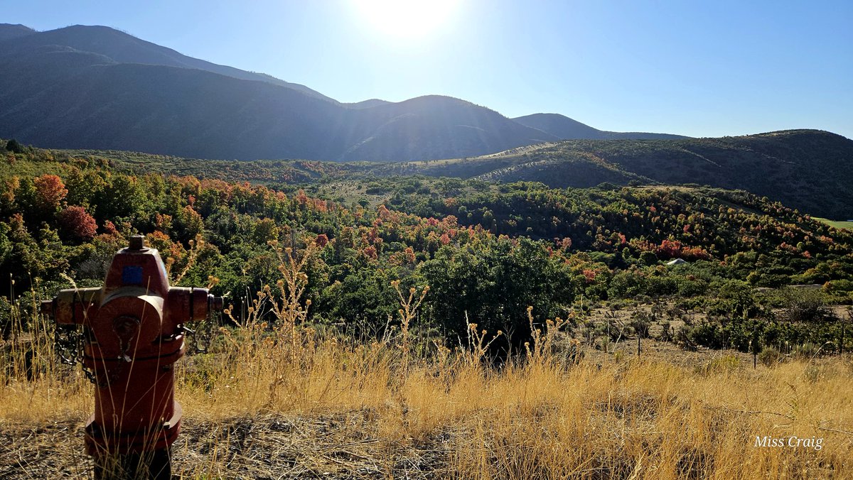 AllyOoopsy's tweet photo. Fire Hydrant looking over changing leaves on the mountain. 🍂
#photography #MyPhoto #landscapephotography #landscape #mountain #utahmountains #utah #utahlandscape #Autumn #leaves #changingleaves #autumnleaves #fire #firehydrant https://t.co/58q7vo5ZAW