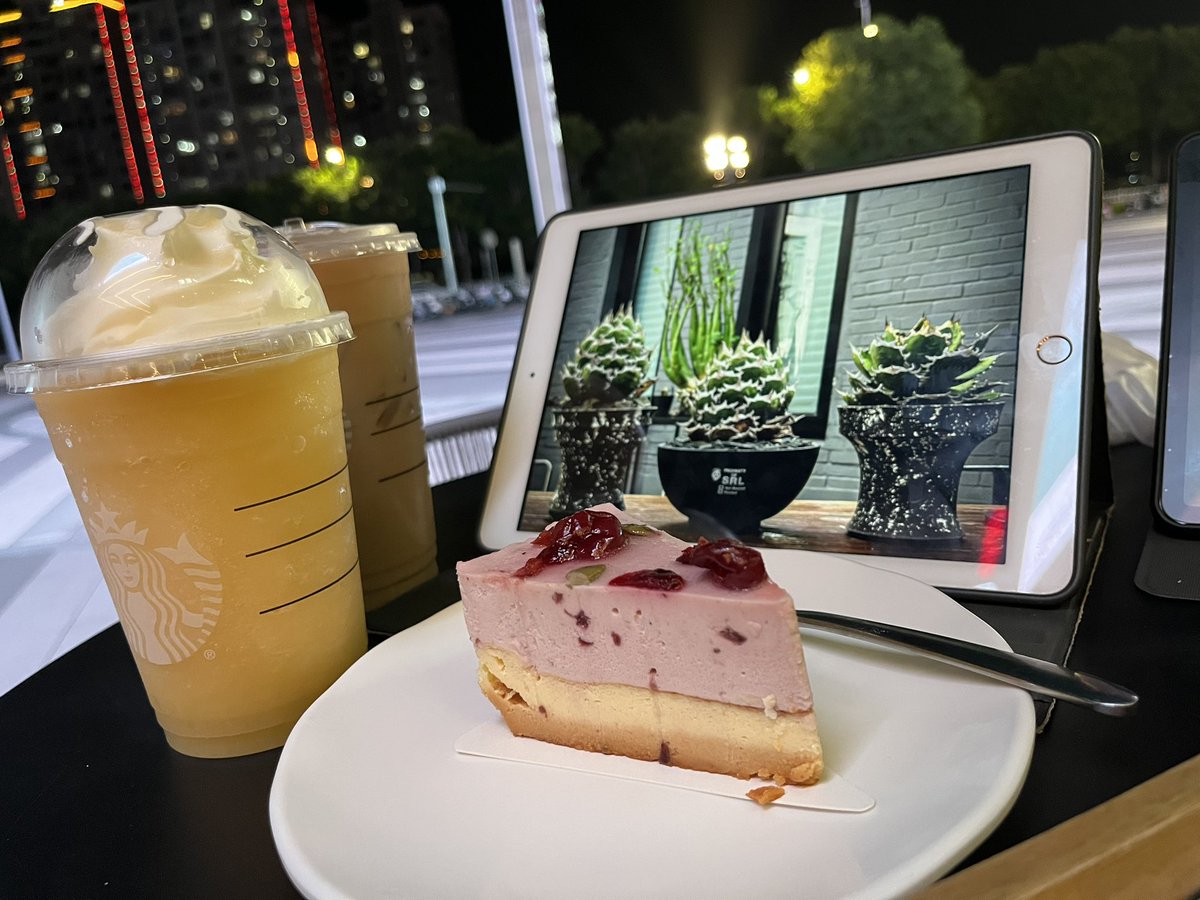 自家のハウスのテキーラの 養殖 基地、 多く の 輸出 に 供する 芽子を 卸す ことができます 優  価 、テキーラの 仁王  冠  厳  竜 みんなを 歓迎 することができます、 中国 の 輸出 

#アガベ販売 #アガベ #アガベ初心者 #アガベ素人 #アガベのある暮らし #シーザー #ハデス #アガベ子株
#多肉植物