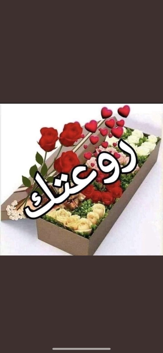 cc7iu's tweet photo. @alanood0o2 تسلمين ..ولك من العطر والورد مايليق بصفاء قلبك ونقاءك 🌹 https://t.co/gRZxBUebYf