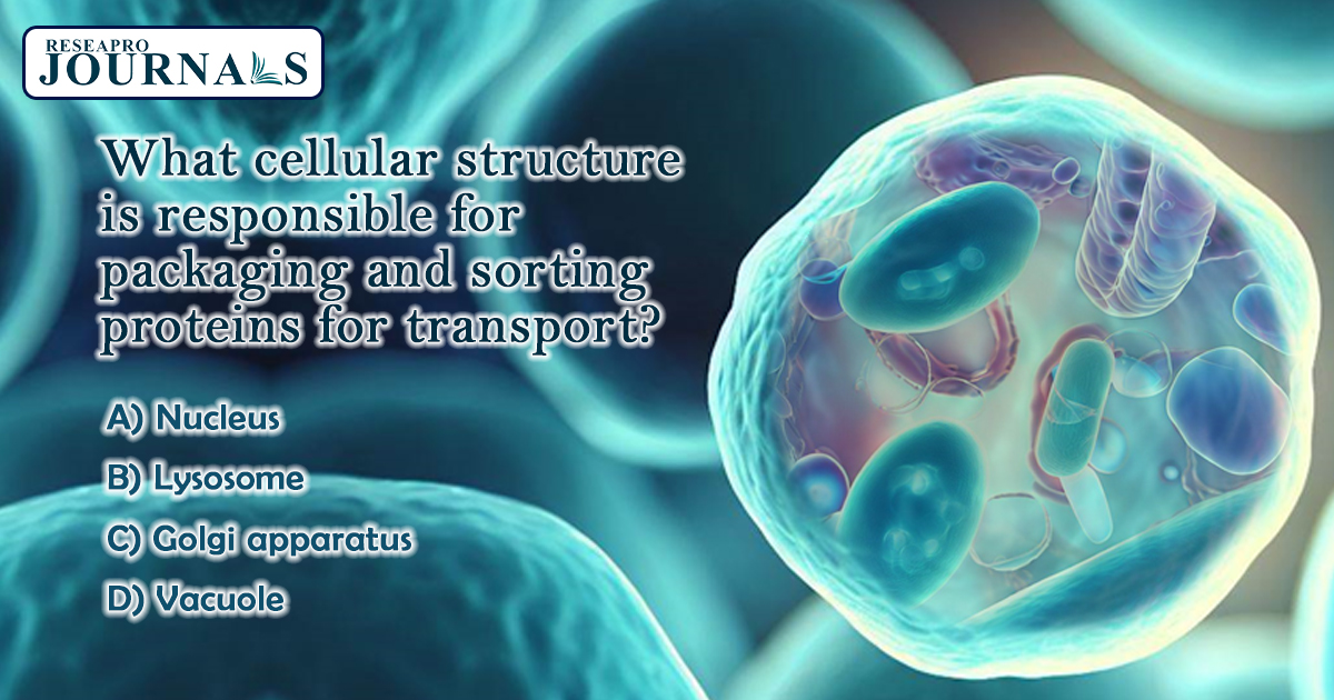ReseaproCBDS's tweet photo. Cell Biology Quiz Time!🤩

Comment your answer below👇 and see if you've got it right! Let's dive into the fascinating world of cell biology! 🤔

#CellBiologyQuiz #ScienceTrivia #ProteinTransport #QuizTime  #CellularStructures https://t.co/uhS8BuplVC