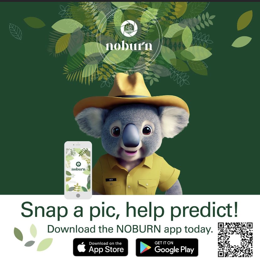 NOBURNUniSC's tweet photo. 🔥 Have you used the NOBURN app? 

🌲 Join the movement to predict bushfires.
📥 Download the app. You can use the QR code or directly here: https://t.co/zGatT4puHB

Let's make a difference together! 🌍🤝

#ForestResearch #UniSC #AI #Bushfire #citizenscience https://t.co/xLrloHORqa