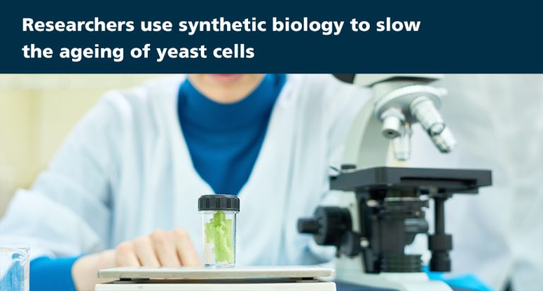 ReseaproCBDS's tweet photo. UC San Diego scientists develop #groundbreaking #SyntheticBiology method to slow cell aging by rewiring gene circuits. #Cells now oscillate between 'aged' states, extending #lifespan by 82%. 

Source👉: https://t.co/fLRi4ajnIP

#aging  #syntheticbiology #LONGEVITY #AgingResearch https://t.co/NPWlKxggwU