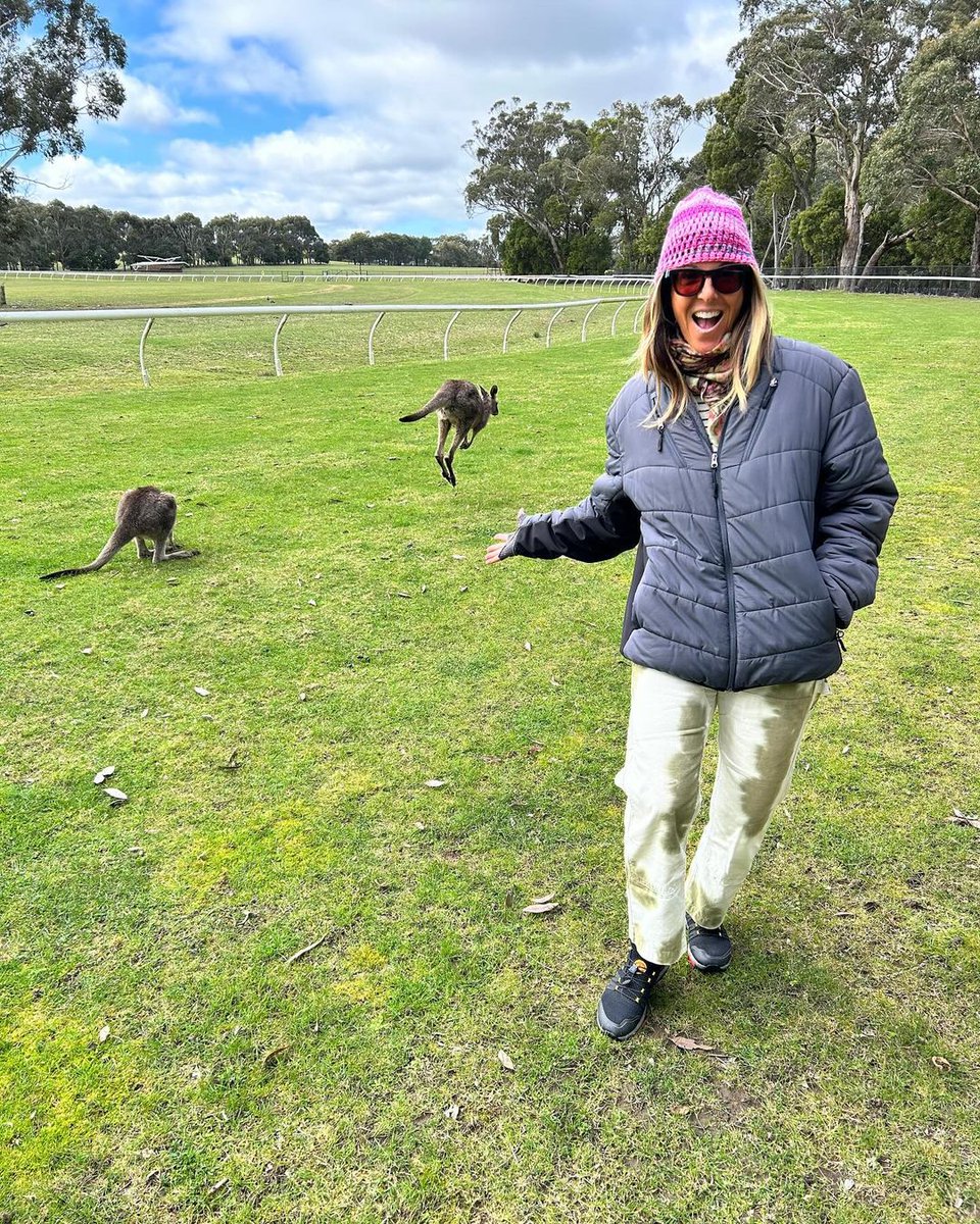 missmaewest's tweet photo. Shazza the dingo is one of my favorite characters, and while in #Australia I got to hang out with dingo pups and @SpaceCaptSteve, some roos - and I got a surf in too!
@Tasmanian_Tiger #travelwiththerealshazza #travelwithshazza #tythetasmaniantiger #ty4 #nintendoswitch https://t.co/xhgqEXQB4E