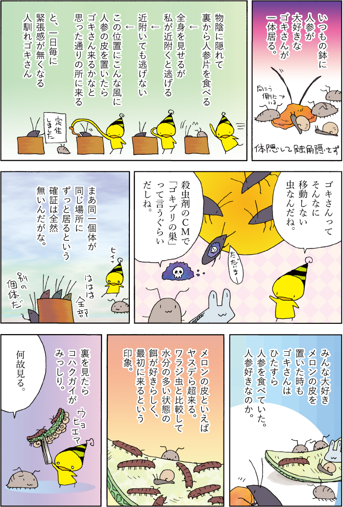漫画デイリーランキング221位だそうですありがとうございます。人に慣れるが懐く訳では無かった。 (1/1) 