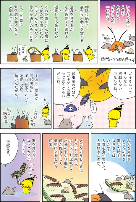 漫画デイリーランキング221位だそうですありがとうございます。人に慣れるが懐く訳では無かった。 (1/1) 