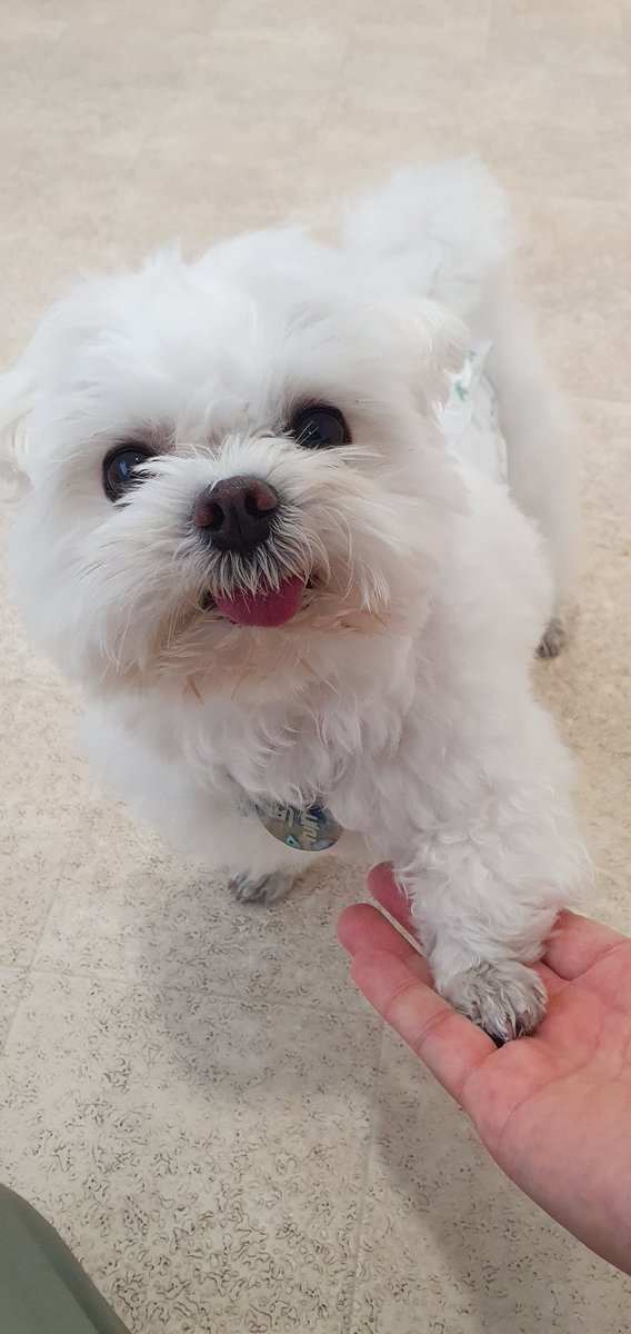 kankayaya's tweet photo. 삐돌이 도시락은 요만합니다 https://t.co/or9abwWyM7