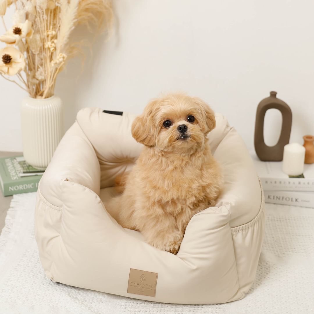 moncheri_dog's tweet photo. 本日20時からインスタライブします🍂🧺
新作商品ご紹介します🐻💓

ご質問、インスタライブで見たい商品がありましたらコメントorDMください🥰

https://t.co/uJrqVryIzo https://t.co/fDAXvahGOO