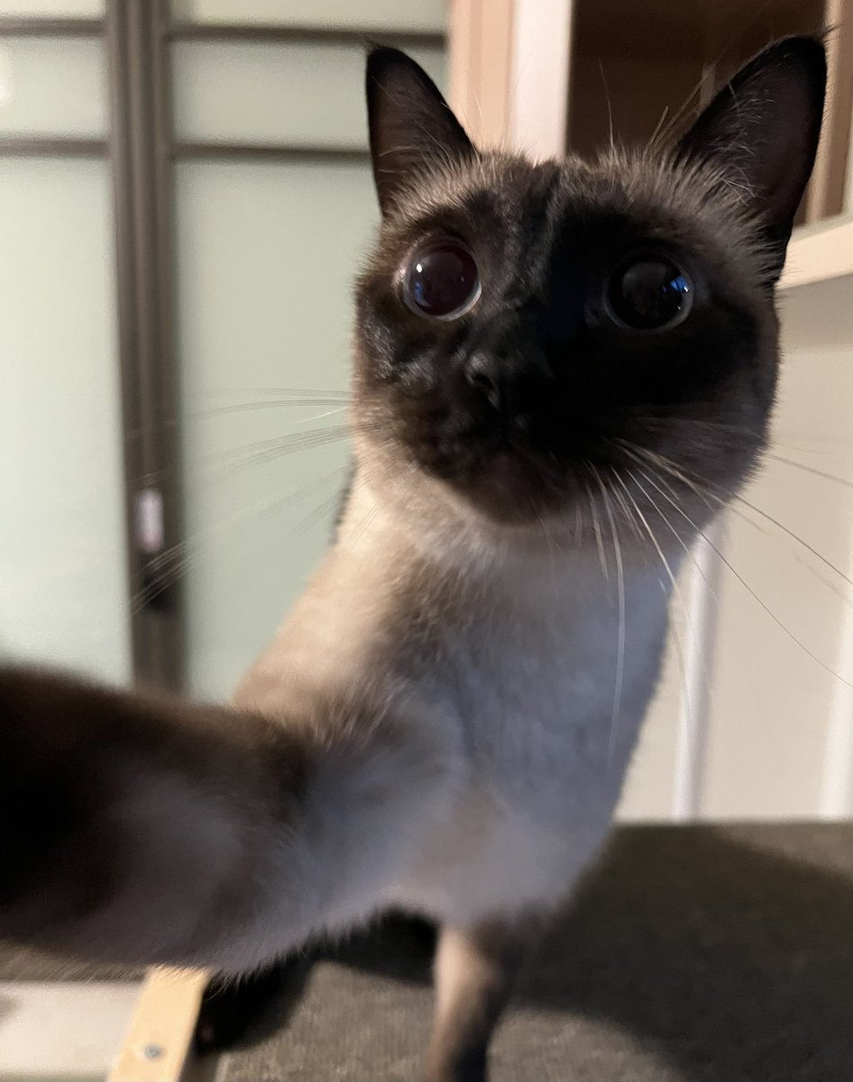 찐빵이 셀카 공개