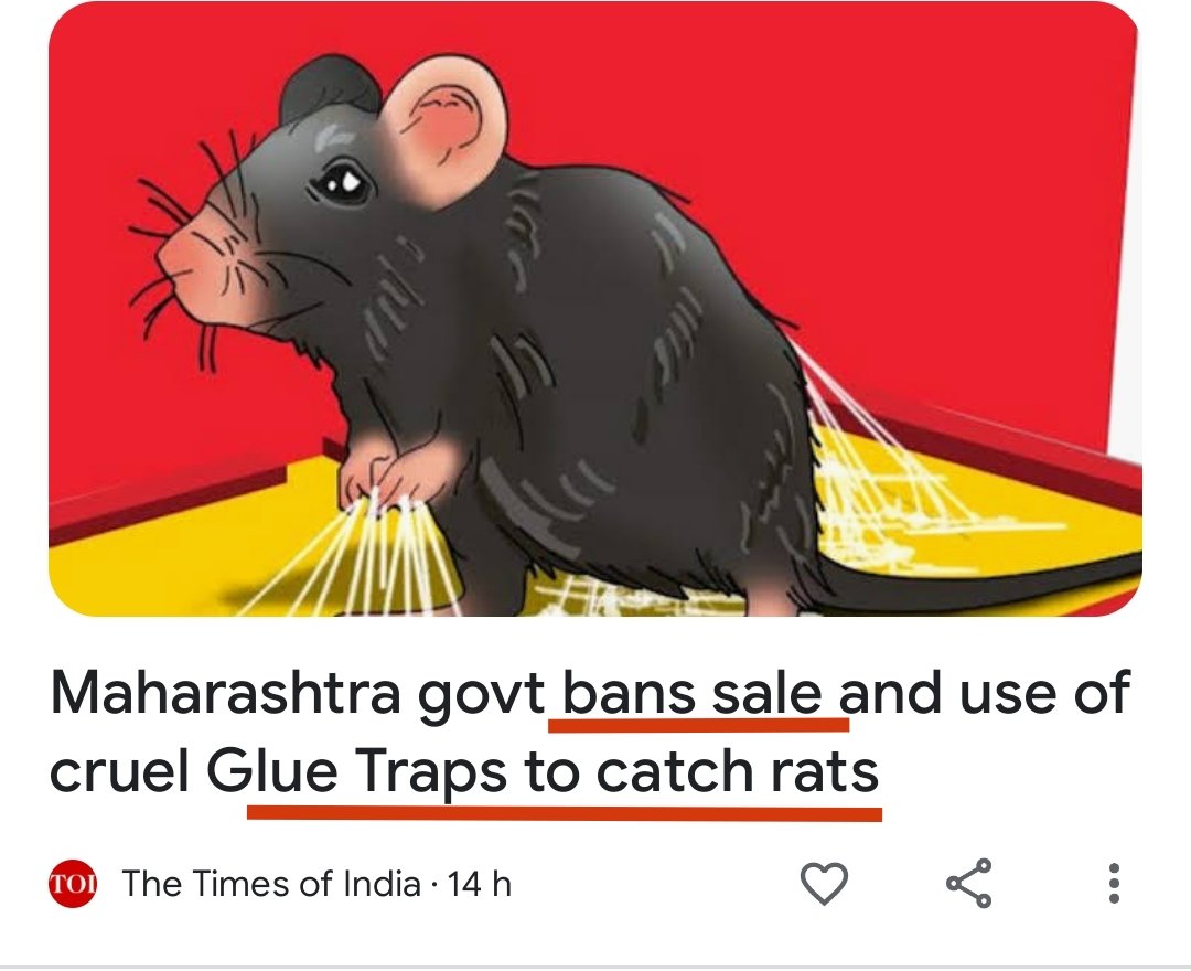 Maharashtra govt bans sale and use of cruel Glue Traps to catch