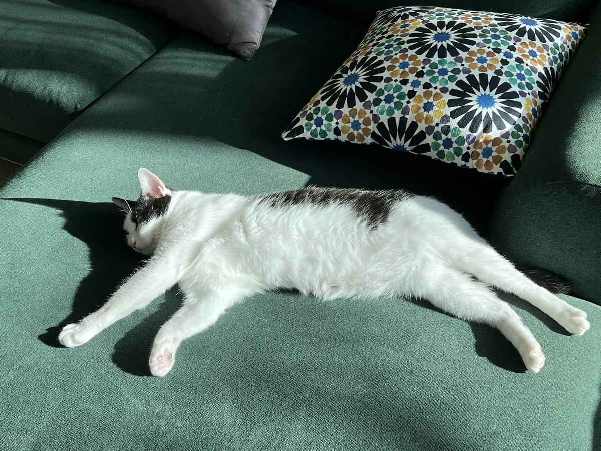 더울수록 행복한 고영