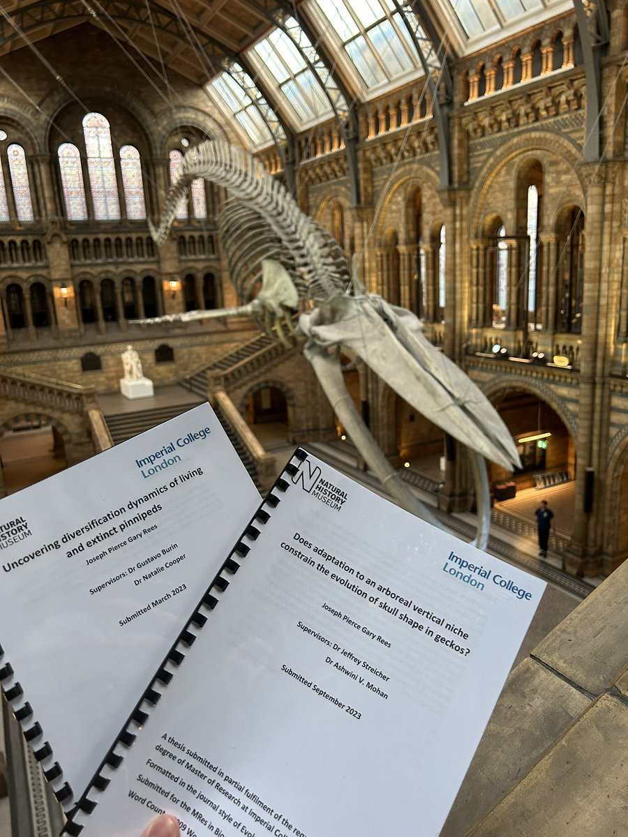 Joe Rees tweet media