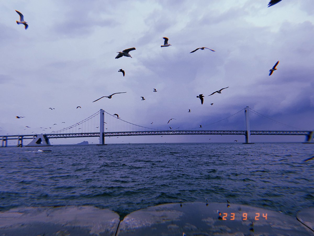 Ikeaaaaa5's tweet photo. 🌊 https://t.co/4dg0eIiI5I