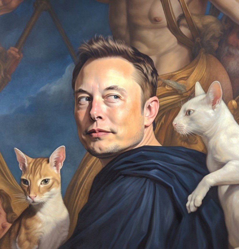 Not Elon Musk tweet media