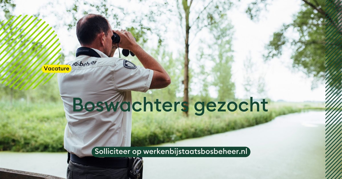 We zoeken boswachters in Noordoost-Brabant, Vechtdal en Drentsche Aa. Kijk of er een #vacature voor jou bij zit. 👇🏼
bit.ly/3FdMX8O