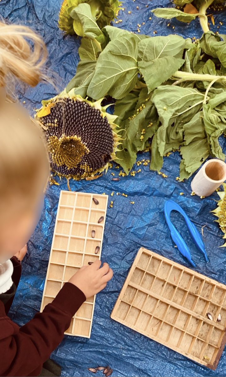 Martongate_Sch's tweet image. Our EYFS children have been enjoying a blast of colour as Summer fades into Autumn. They have loved developing their fine motor skills. 
#EYTagTeam #CosyClubIdeas #EYFS