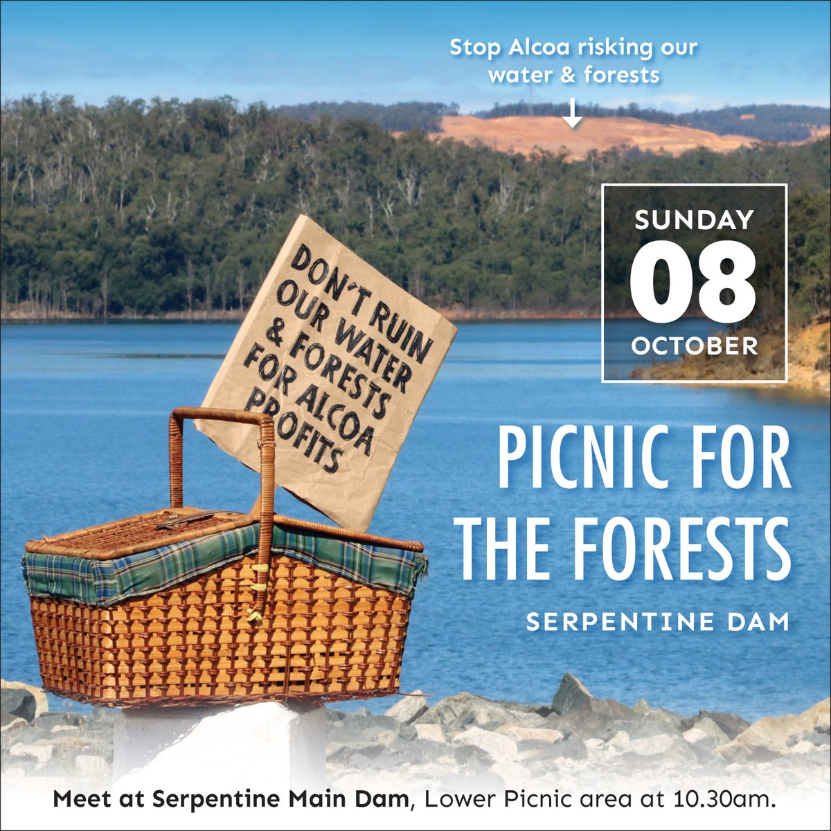 Picnic for forests at Serpentine Dam, Sun the 8th Oct. Come along and show your support for forests and water over the profits of US mining giant #Alcoa Details here: bit.ly/picnic-for-for… 🍃🍃🍃 #westernaustralia #climateemergency #biodiversity