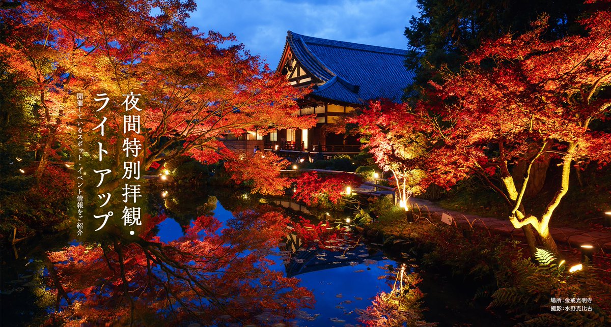 kyo_kanko's tweet photo. 🍁2023年 秋の夜間特別拝観・ライトアップ情報🍁
この秋開催される夜間特別拝観やライトアップ情報を本日（9/26）公開しました！
秋の澄んだ空気の中、明りに灯され美しく浮かび上がる境内や紅葉をぜひご覧ください。
https://t.co/FZTMtlC8kY https://t.co/8hK4pt3Zr0