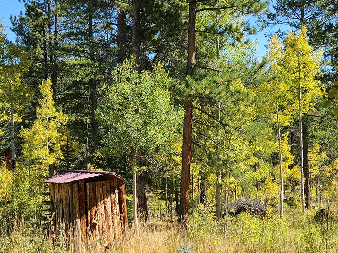 I had so much fun with Mr K at his cabin.  I absolutely love being naked and playing outside.   https://t<a href="/tag/redhead"class="tags"><span>#redhead</span></a><a href="/tag/outdoors"class="tags"><span>#outdoors</span></a><a href="/tag/autumnleaves"class="tags"><span>#autumnleaves</span></a><a href="/tag/naked"class="tags"><span>#naked</span></a><a href="/tag/milf"class="tags"><span>#milf</span></a>