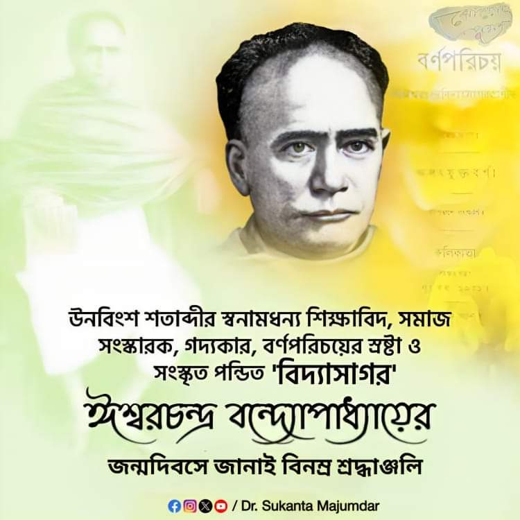 Styuardessa bogbon bilan