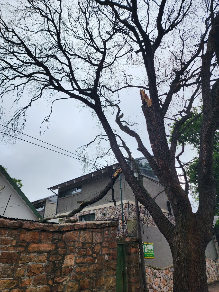 TreeWorks 0118848088 tweet media