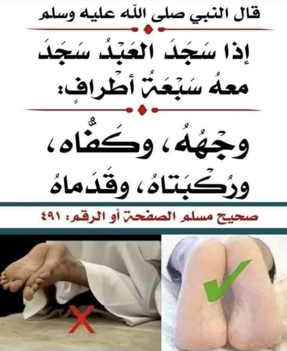 AlshihahA's tweet image. فائده