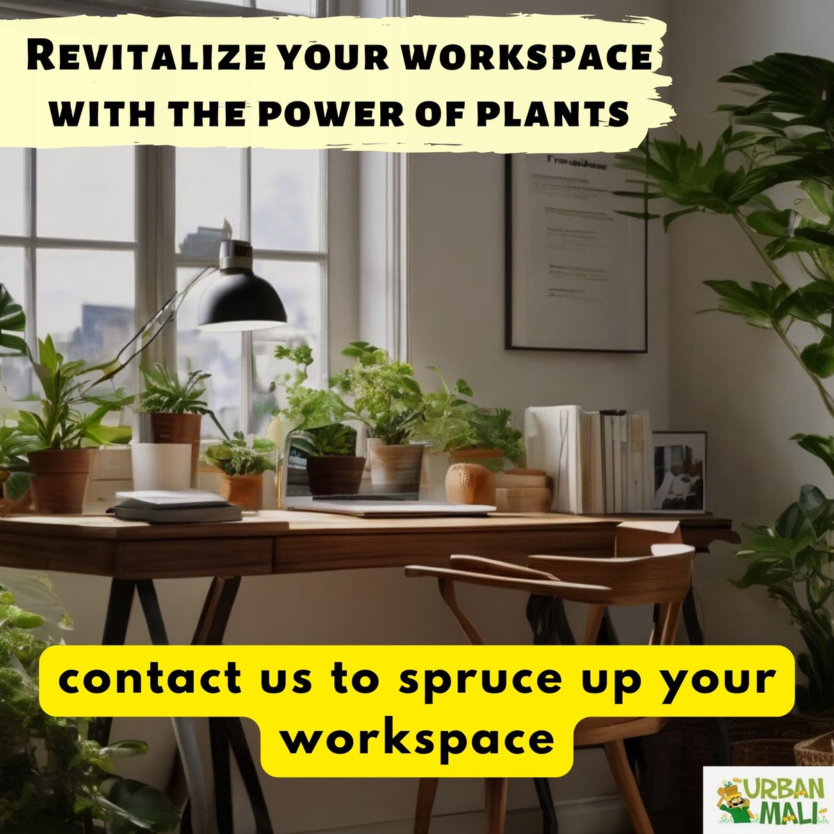 From a drab home office to a lush green workspace! 🌿💻 Revitalize your workspace with the power of plants.

#GreenOffice #WorkspaceRevamp #PlantLove#OfficePlants #plantsmakepeoplehappy #gardening #plantlife #plantaddict #urbanmali #urbangardening #homegardening