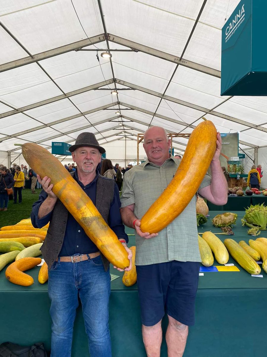 I found out on Sunday that the new world record and second place heavy cucumbers originated from seed I gave to Graham 7 years ago. Shame I can't grow them as good as Vince and Graham. <a href="/GWR/">Guinness World Records</a> <a href="/IanRNeale1/">Ian_R_Neale</a> <a href="/medwynsofangles/">Medwyn Williams</a> <a href="/GardenNewsmag/">Garden News</a> <a href="/veggrowerlee/">Life at the Allotment</a> <a href="/johnhandrahan1/">john handrahan</a> <a href="/GiantVeg/">Kevin Fortey</a>