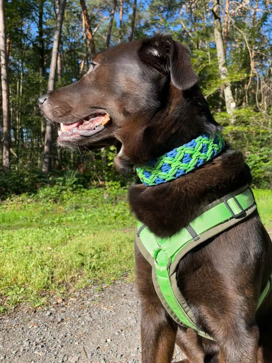 Guten Morgen liebes #Twitterrudel, der Montag ist rum-da können wir dem Rest der Woche doch nun ebenfalls gelassen entgegen sehen. Habt’s pfein liebe Pfreunde ❣️