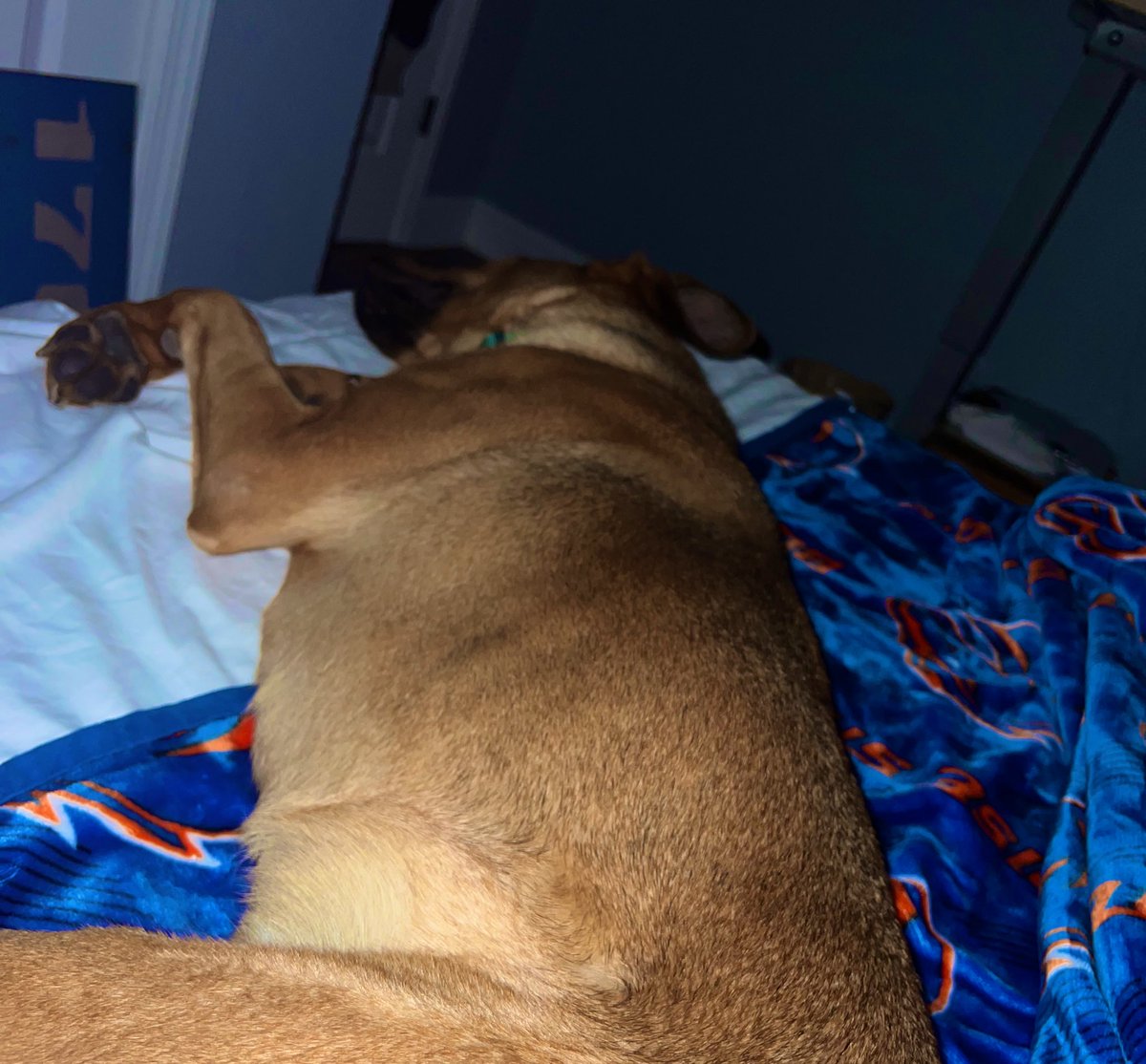 eric snyder tweet media