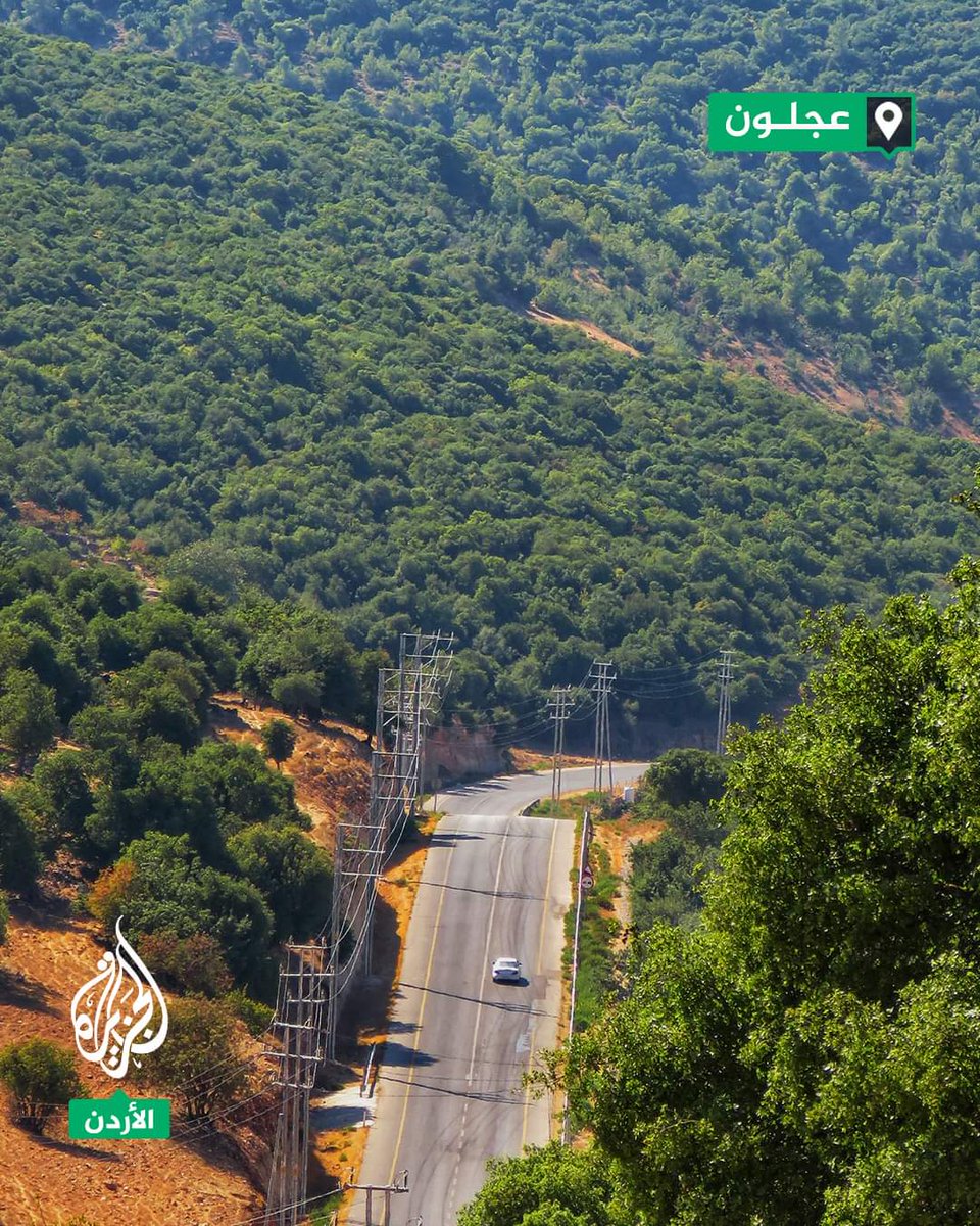 zaeem16064429's tweet photo. #صوره من بلادي  
مشهد ساحر للغابات كثيفة الأشجار في منطقة عين جنا ب #عجلون.. بعدسة المصور الأردني عبادة بني فواز 
#الأردن 
#دعم_كل_الاردن https://t.co/kOMgW5t6Re