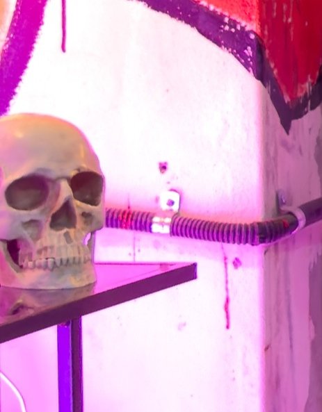 forvahn's tweet image. me looking at this rn