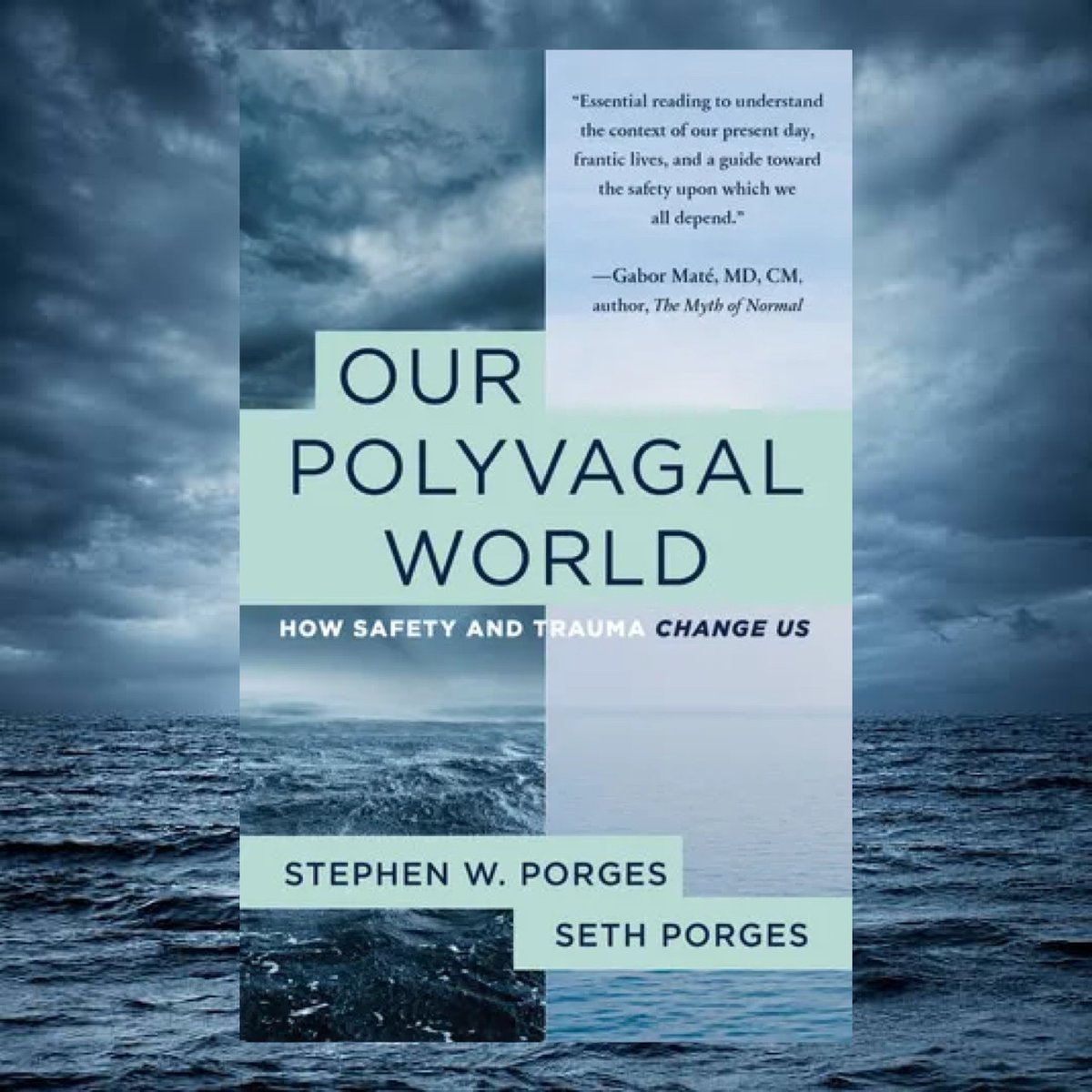 Our Polyvagal World by Stephen W. Porges & Seth Porges

“How safe we feel is crucial to our physical and mental health and happiness.”

#BookReview #Edelweiss #OurPolyvagalWorld #PolyvagalTheory @wwnorton

schizanthusnerd.com/2023/09/26/our…