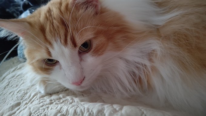 早く帰ってきてね 