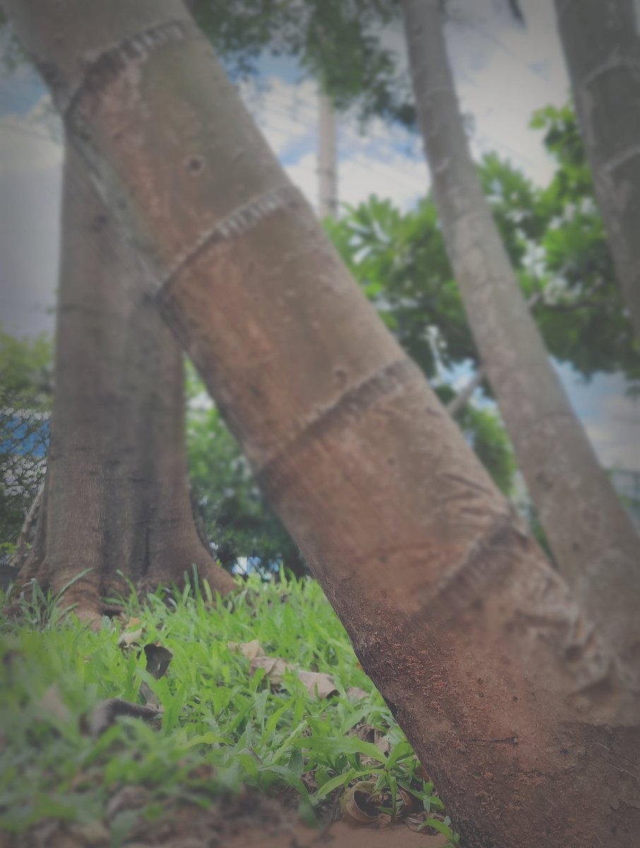 ช่วงเวลาที่เจ็บปวดที่สุด
คือช่วงที่จะเอาไงกับชีวิตเรา
หนักแต่ก็ทนต่อ   
สักวันจะมีวันที่เป็นของเรา

#สังคมแห่งกำลังใจ
จับมือเราไว้ แล้วเดินไปด้วยกัน

#แคปชั่นความสุข #คำคมความสุข #คำคมดีๆ #แคปชั่นดีๆ #แคปชั่นคําคม #แคปชั่นกำลังใจ  #แคปชั่นชีวิต #คำคมชีวิต  #คำคมกำลังใจ #คำคมโดนใจ