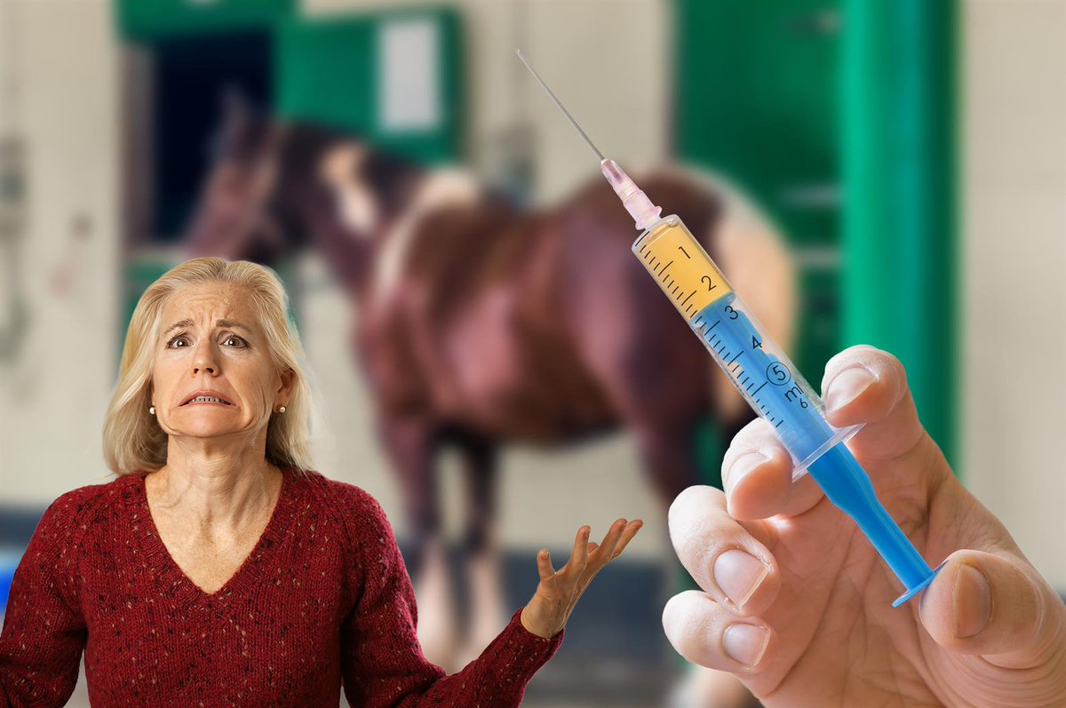 DA_GPL's tweet photo. Tackling AHS Vaccine Shortages! The DA renewed its call to Minister Thoko Didiza and OBP to outsource AHS vaccine production. Farmers deserve better! Let's prioritise their needs! #AHSVaccineShortage #VaccineSolution ๐จโโ๏ธ#DA_GPL @bronwynnengel
Read more: https://t.co/2xcmoHEOMn https://t.co/GptJGFPLv6