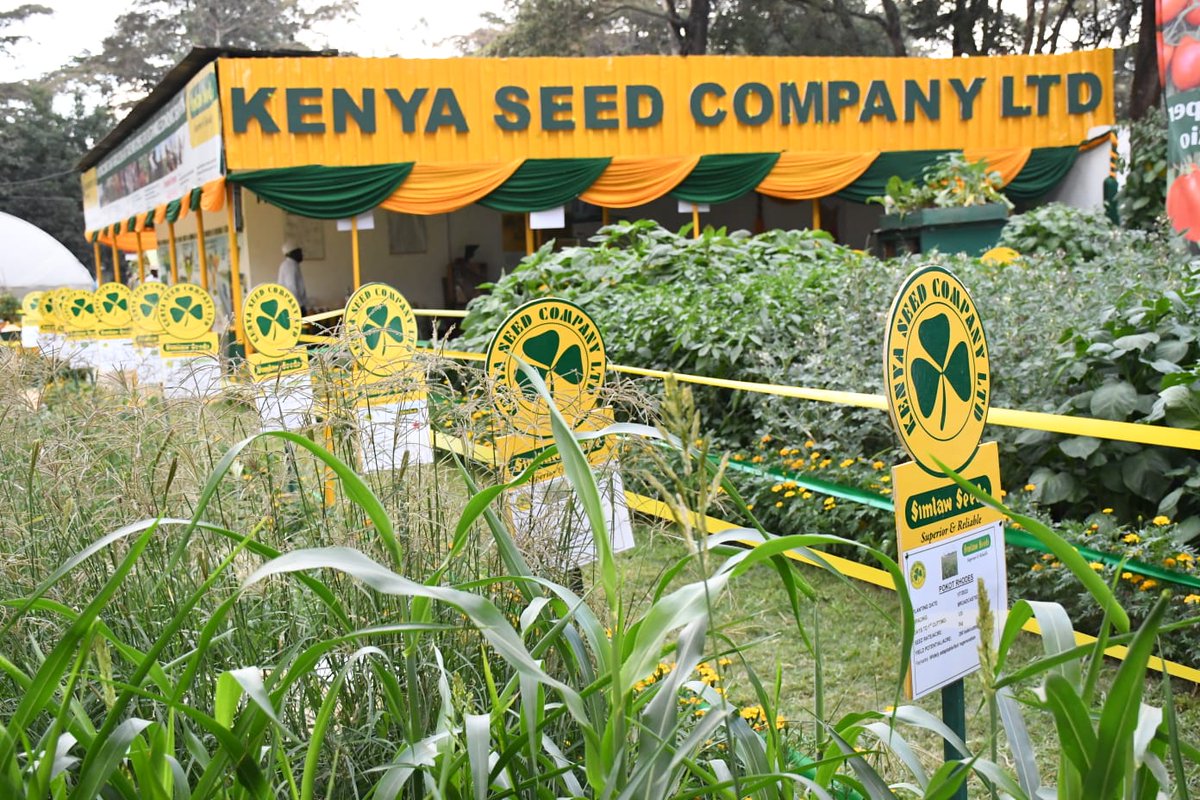 Simlaw_Seeds's tweet photo. 𝐖𝐄'𝐑𝐄 𝐀𝐓 𝐓𝐇𝐄 𝐅𝐀𝐈𝐑!
One moment at a time. Day 2 of the Nairobi International Trade Fair at ASK Jamhuri Showground provides you with serenity amidst the bustling city.
Imagine kwa stand yetu unafunza mipango thabiti ya ukulima bora na jinsi ya kudumisha uchumi endelevu https://t.co/5TG6fLpSF2