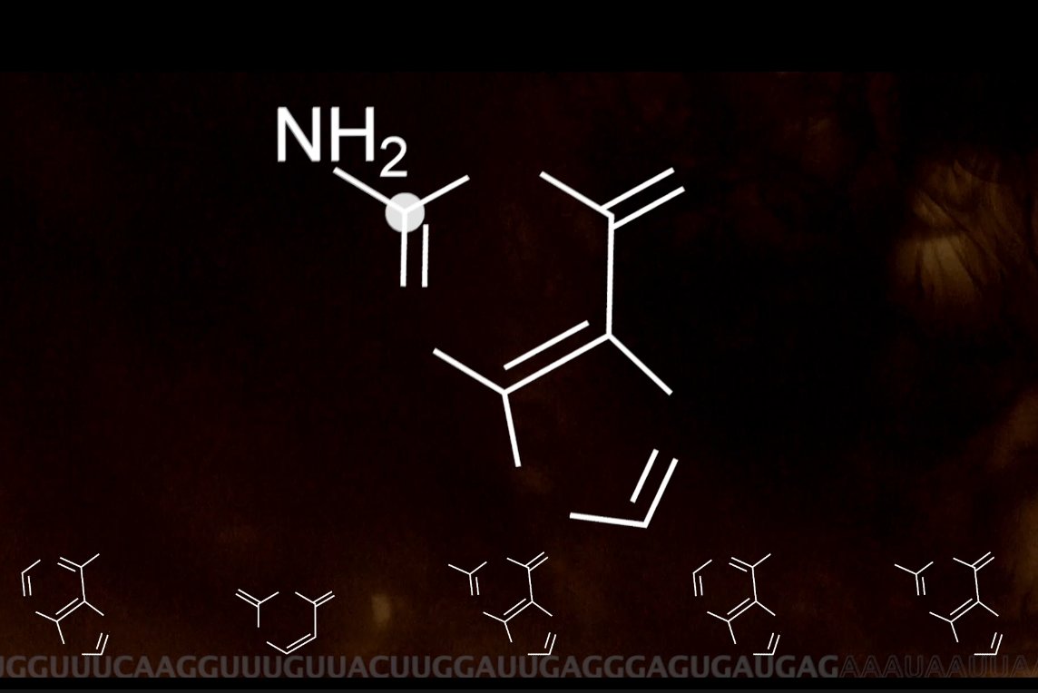 Molekylærbiologi - Molecular Biology tweet media