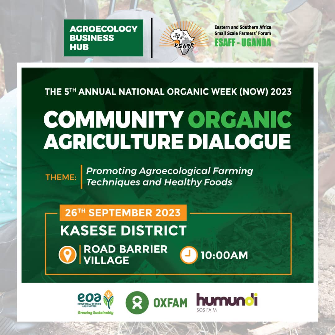 burton_dpoet's tweet photo. This morning a team from @ESAFFUG will engage local farmers, community leaders &amp; the public at  about the benefits of organic farming systems, protecting indigenous seeds and eating healthy food to cub malnutrition.

Kasese District we are in your area code. 

#NOW2023 https://t.co/4b9YTnQRh7