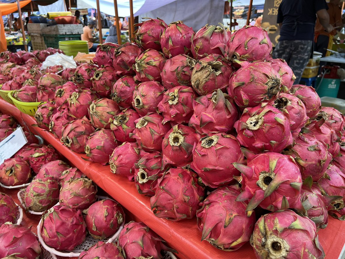 Young Sonia tweet media