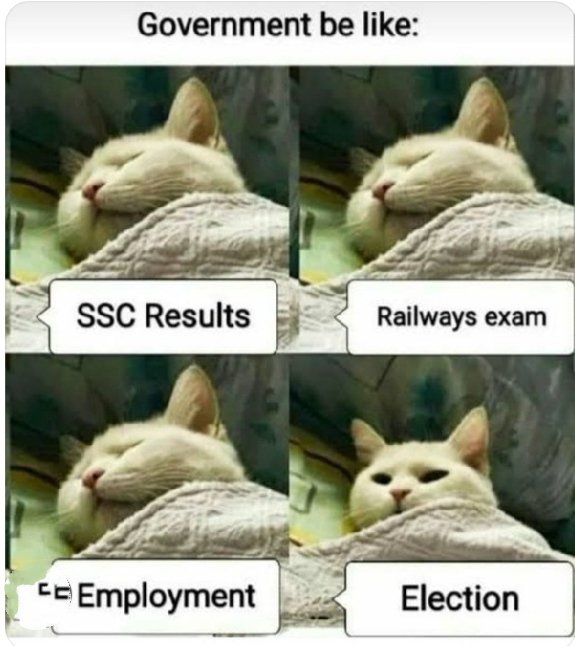 Eleanora7Dsilva's tweet photo. @AmitShah @AshwiniVaishnaw @PIB_India @the_hindu @ANI . #ModiJiRailwayBhartiDo .We the Railway aspirants who are still waiting for new recruitments . https://t.co/HkAgx8CpDw