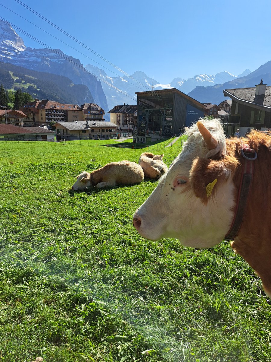 Workers preparing the nursery slopes in Wengen <a href="/WengenSwiss/">Wengen Switzerland</a> <a href="/JungfrauRegion/">Jungfrau Region</a>  #Switzerland