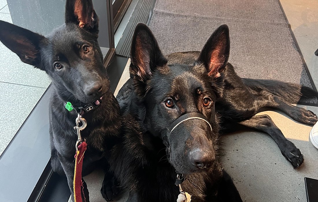 Hub Australia tweet media