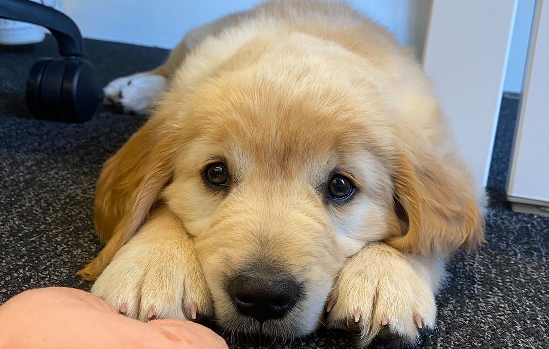 Hub Australia tweet media