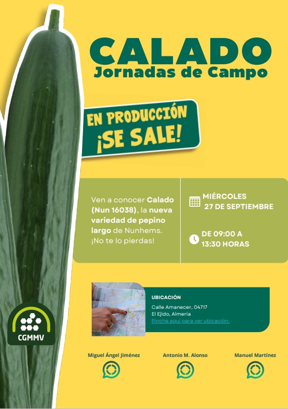 FHALMERIA's tweet image. 🥒📅  ¡Buenos días! Este miércoles, 27 de septiembre, @BASF_AgroES - #Nunhems celebra unas jornadas de campo de #Calado, su nueva variedad de pepino largo para #ciclo temprano. 

📍Ubicación: maps.app.goo.gl/Yov9i8bd4sSE3q…