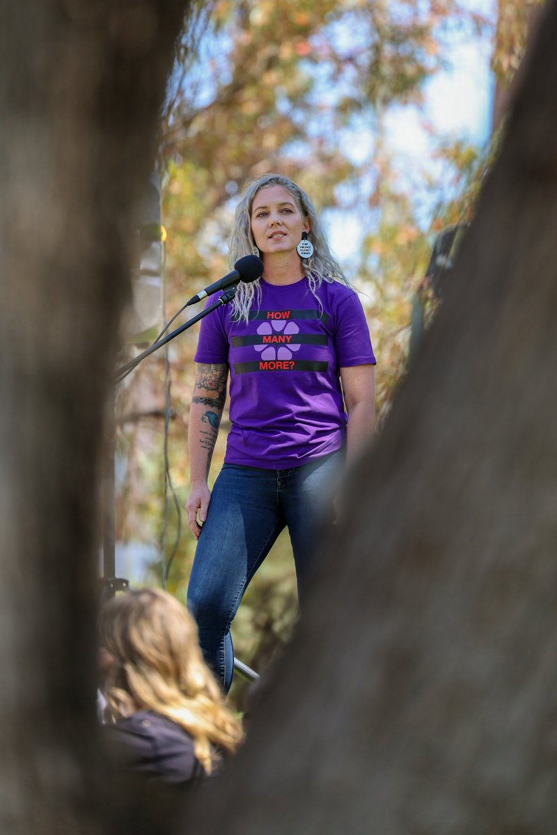 cawls_nt's tweet photo. π£ Every day is a day to take action and ask ourselves, βHOW MANY MORE?β
We remember every victim, every day, in our fight against Family #DomesticViolence πβ
#NeedsBasedFundingNow #AliceSprings #NorthernTerritory https://t.co/51SdWgmsE8