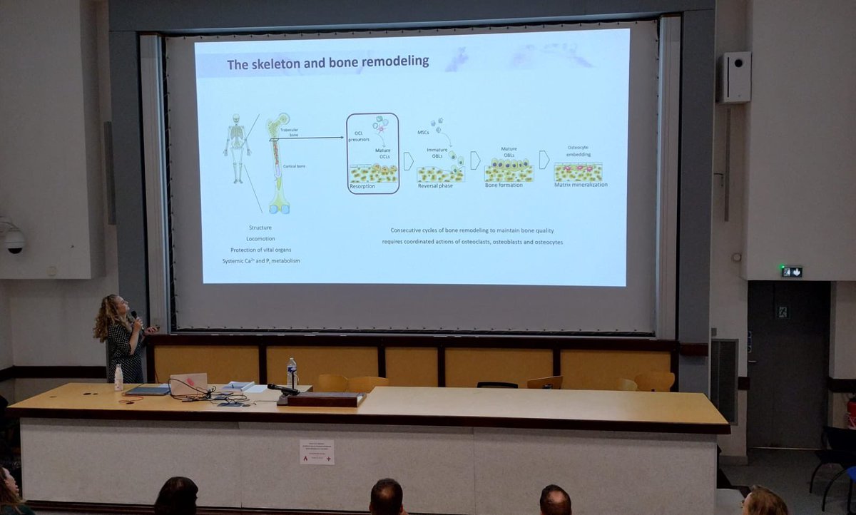 Nice Osteoimmunology Lab tweet media