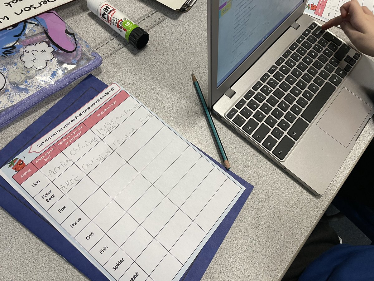 3SW enjoyed researching different animals during Science.