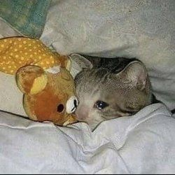 FallenRosxx's tweet photo. I MISS MY MAN https://t.co/spj3sKDGBT