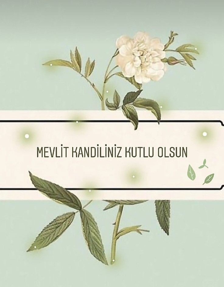 🌹🌹❤🌹🌹❤🌹🌹❤🌹🌹