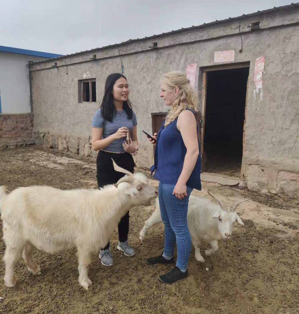 TGCStandard's tweet photo. Our colleagues Gudrun &amp; Emily journeyed through Inner Mongolia's vast grasslands to accompany audits on #GCS farms. Traveling 200km on bumpy roads they experienced the region's immense beauty. Grateful for the warm hospitality &amp; productive talks on animal welfare. #goodcashmere https://t.co/IkNPX9GWs3